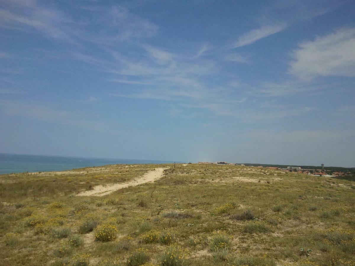 La Pinede Oceane,400M Des Plages Mimizan Bagian luar foto