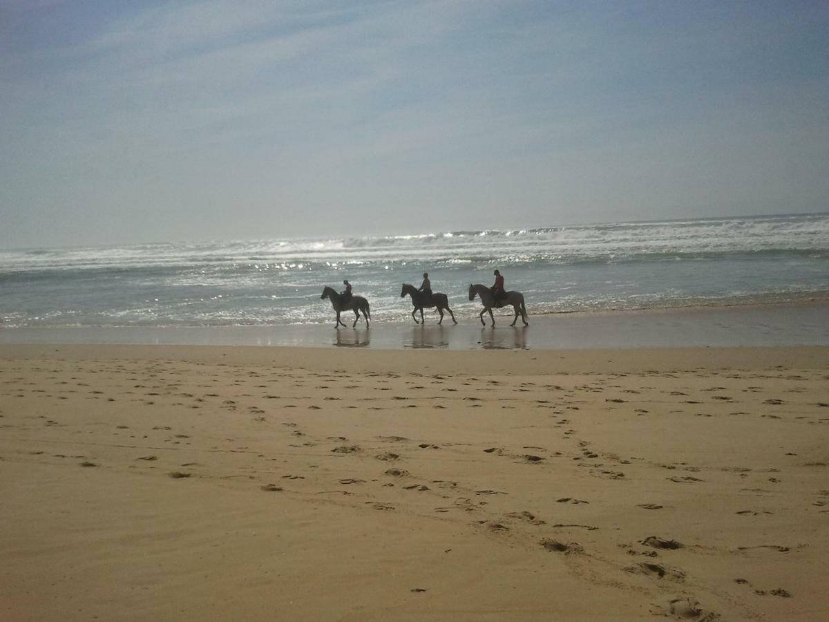 La Pinede Oceane,400M Des Plages Mimizan Bagian luar foto