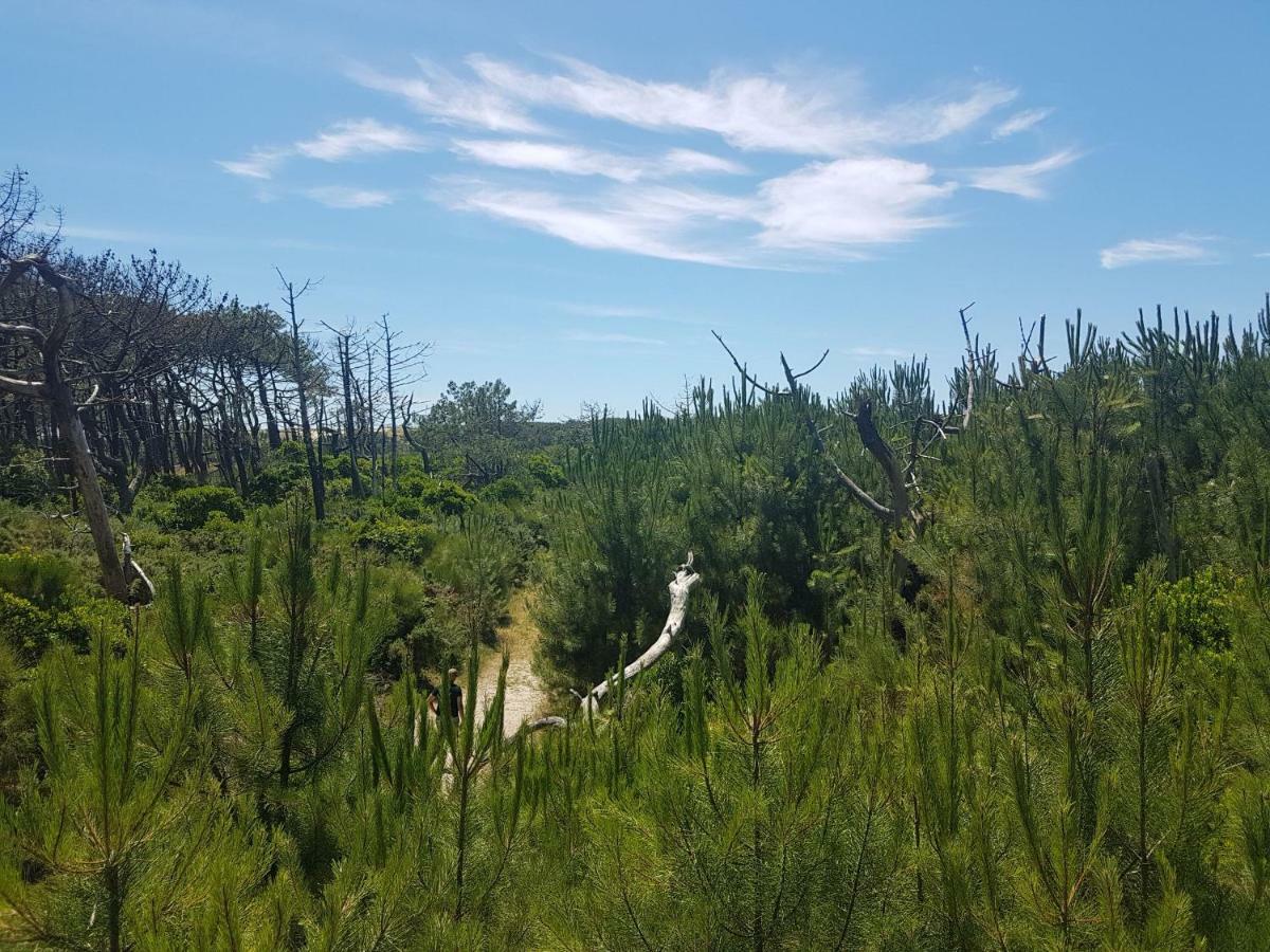 La Pinede Oceane,400M Des Plages Mimizan Bagian luar foto